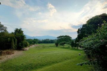 Land for sale in Rim Tai, Chiang Mai