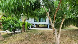 2 Bedroom House for rent in Bo Phut, Surat Thani