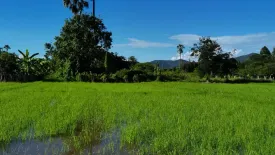 Land for sale in Huai Sai, Chiang Mai