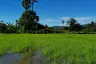 Land for sale in Huai Sai, Chiang Mai