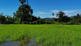 Land for sale in Huai Sai, Chiang Mai