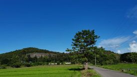 Land for sale in Huai Sai, Chiang Mai