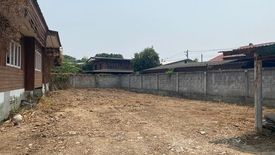 Land for sale in Tha Wang Tan, Chiang Mai