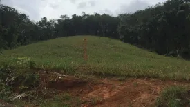 Land for sale in Pa Khlok, Phuket