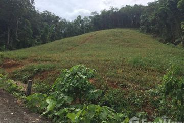 Land for sale in Pa Khlok, Phuket