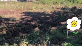 Land for sale in Tarndong Park View, Ban Waen, Chiang Mai