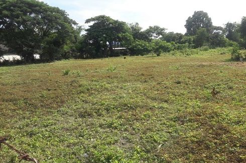 Land for sale in Ton Pao, Chiang Mai