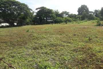 Land for sale in Ton Pao, Chiang Mai