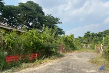 Land for sale in S.P.Garden, Bang Bamru, Bangkok near MRT Bang Yi Khan