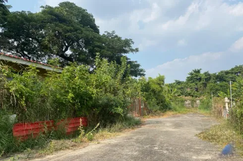 Land for sale in S.P.Garden, Bang Bamru, Bangkok near MRT Bang Yi Khan