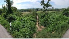 Land for sale in Don Sila, Chiang Rai