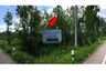 Land for sale in Don Sila, Chiang Rai