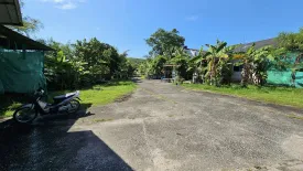 Land for sale in Wichit, Phuket