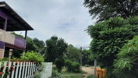 Land for sale in Na Yom, Phetchabun