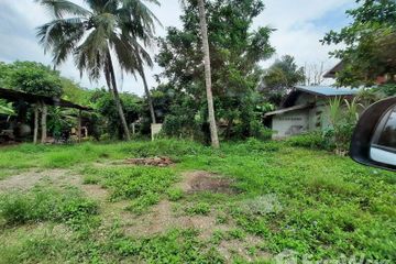 Land for sale in Na Yom, Phetchabun