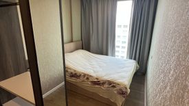 1 Bedroom Condo for rent in The Nest Sukhumvit 64, Bang Chak, Bangkok near BTS Punnawithi