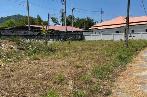 Land for sale in Permsap Villa, Si Sunthon, Phuket