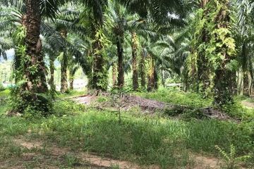 Land for sale in Lo Yung, Phang Nga