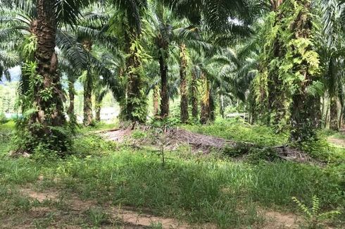 Land for sale in Lo Yung, Phang Nga