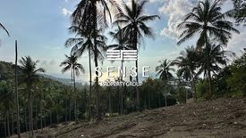 Land for sale in Ko Pha-ngan, Surat Thani