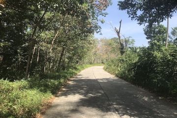 Land for sale in Thung Maphrao, Phang Nga