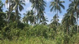 Land for sale in Thung Maphrao, Phang Nga