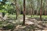 Land for sale in Nong Thale, Krabi