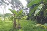 Land for sale in Talo Due Raman, Pattani