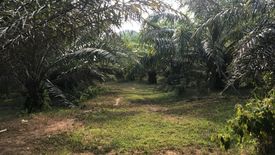 Land for sale in Tha Yu, Phang Nga