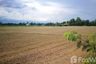 Land for sale in San Kamphaeng, Chiang Mai