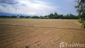 Land for sale in San Kamphaeng, Chiang Mai