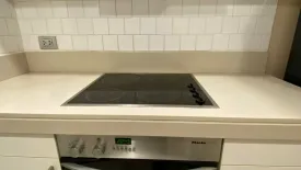 2 Bedroom Condo for rent in Baan Siri Ruedee, Lumpini, Bangkok near BTS Ploen Chit