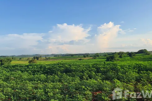 Land for sale in Mae Ngoen, Chiang Rai