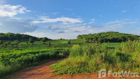 Land for sale in Mae Ngoen, Chiang Rai