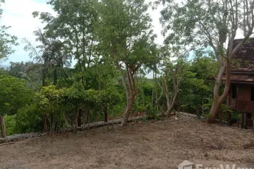 Land for sale in Karon, Phuket