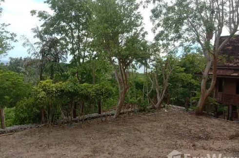 Land for sale in Karon, Phuket