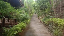 Land for sale in Karon, Phuket