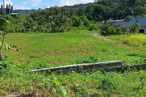 Land for sale in Kamala, Phuket