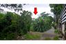 Land for sale in Talat Khwan, Nonthaburi near MRT Bang Krasor