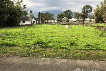 Land for sale in Don Kaeo, Chiang Mai