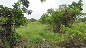 Land for sale in Nong Chom, Chiang Mai