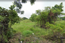 Land for sale in Nong Chom, Chiang Mai