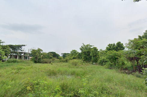 Land for sale in Nong Chom, Chiang Mai