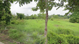 Land for sale in Nong Chom, Chiang Mai