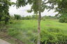 Land for sale in Nong Chom, Chiang Mai