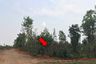 Land for sale in Khok Sung, Chaiyaphum