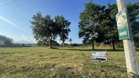 Land for sale in Summit Green Valley, Mae Sa, Chiang Mai