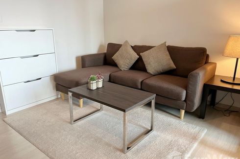 1 Bedroom Condo for rent in Life Sukhumvit 48, Phra Khanong, Bangkok near BTS Phra Khanong