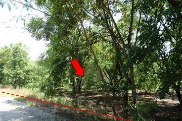 Land for sale in Dong Khui, Phetchabun