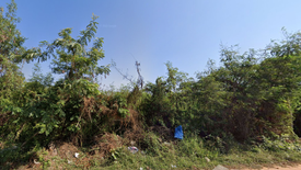 Land for sale in Koeng, Maha Sarakham